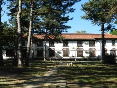 Vrućine dovode više pacijenata na psihijatriju 7 490x370 toponica