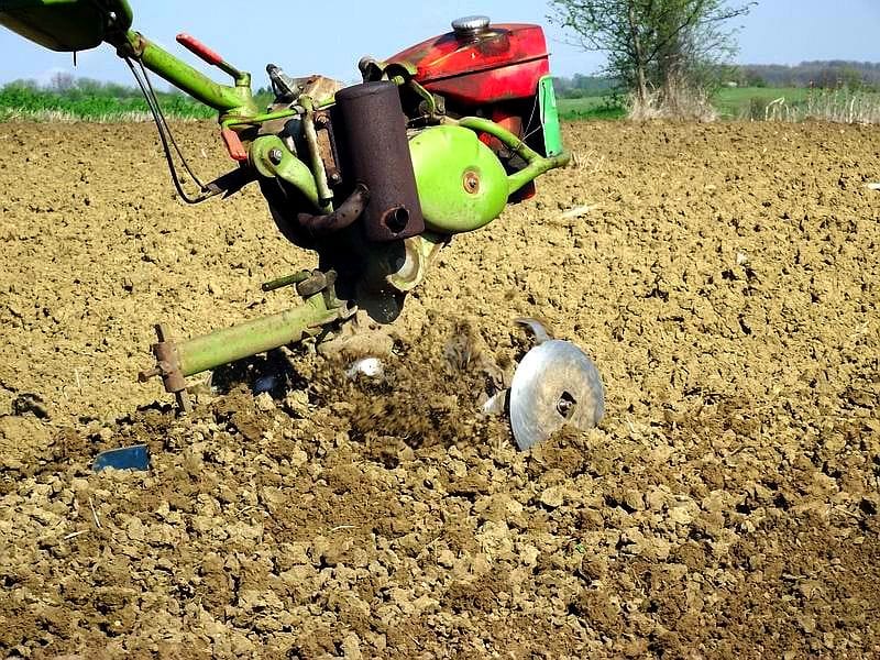 Poljoprivreda radovi Ilustracija KOSTA Juzne vesti