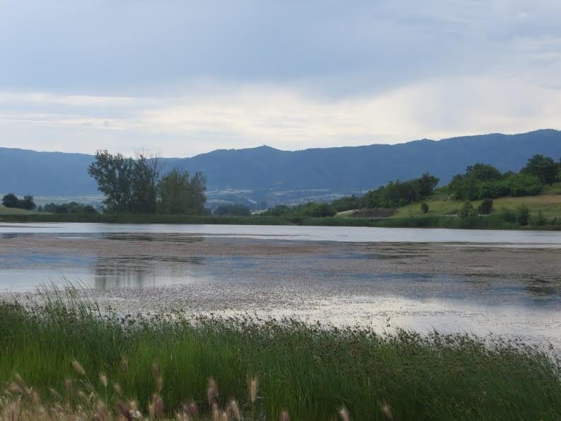 Aleksandrovacko jezero