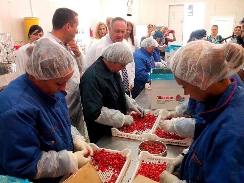 Gradonacelnik Leskovca u hladnjaci