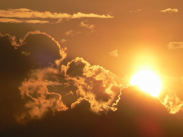 Vrucina Eddy Van 3000