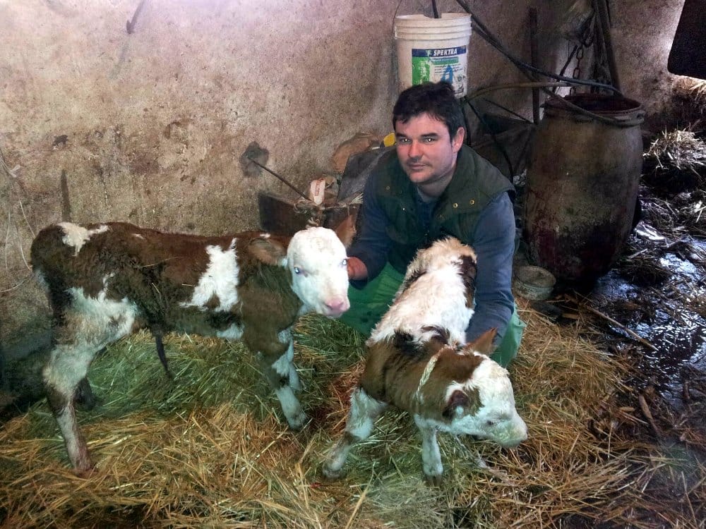 Veterinarska Stanica Nis