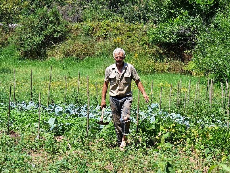 Nisevac mestani baste navodnjavaju iz Timoka KOSTA