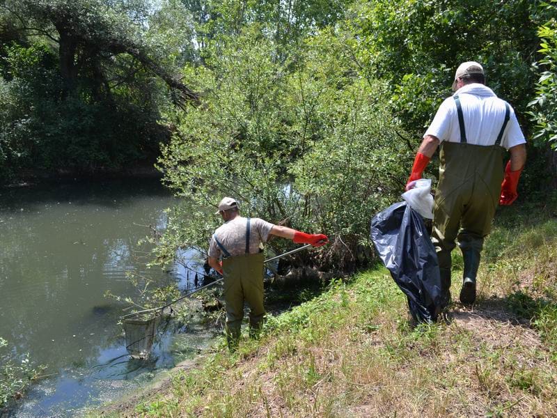 Ribocuvari skupljaju uginulu ribu KOSTA