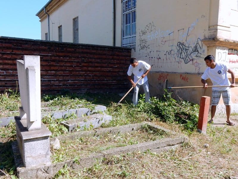 UREDJENJE Strog goblja Ph D Vidojkovic 21 07 2015 5