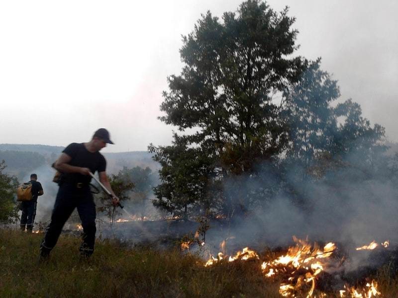 Pozar poljski KOSTA Juzne vesti