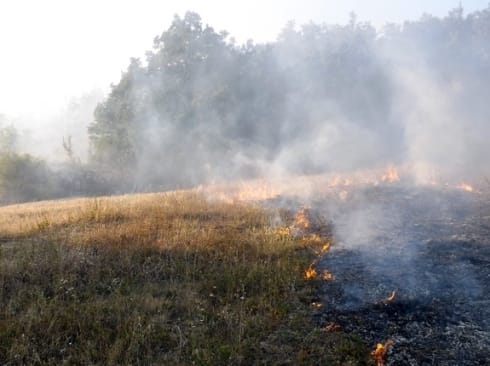 Sve više požara zbog paljenja strnjike 9 Pozar rastinje
