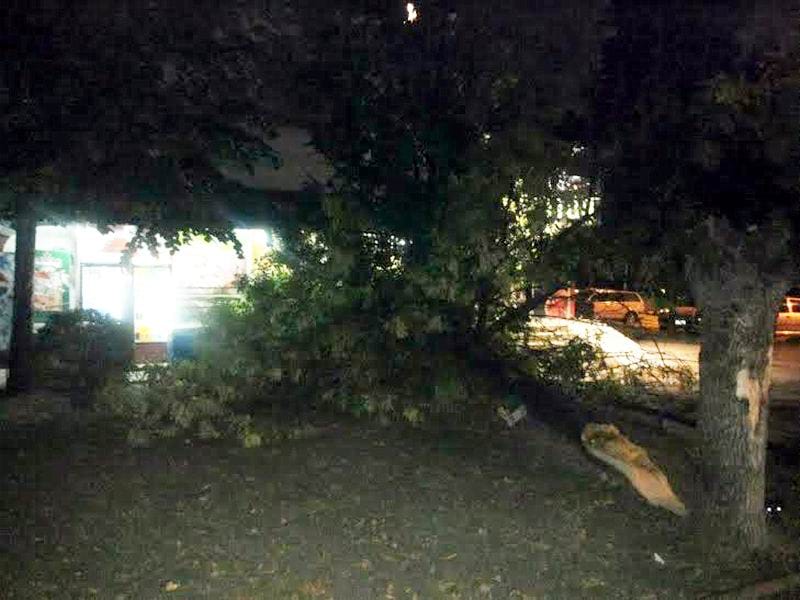 vetar polomio granu leskovac