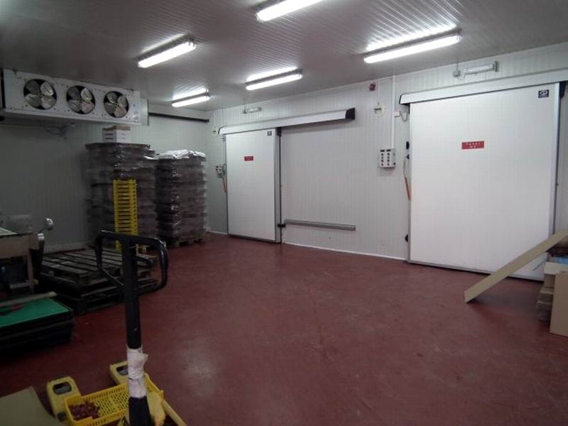 hladnjaca voce povrce hf5