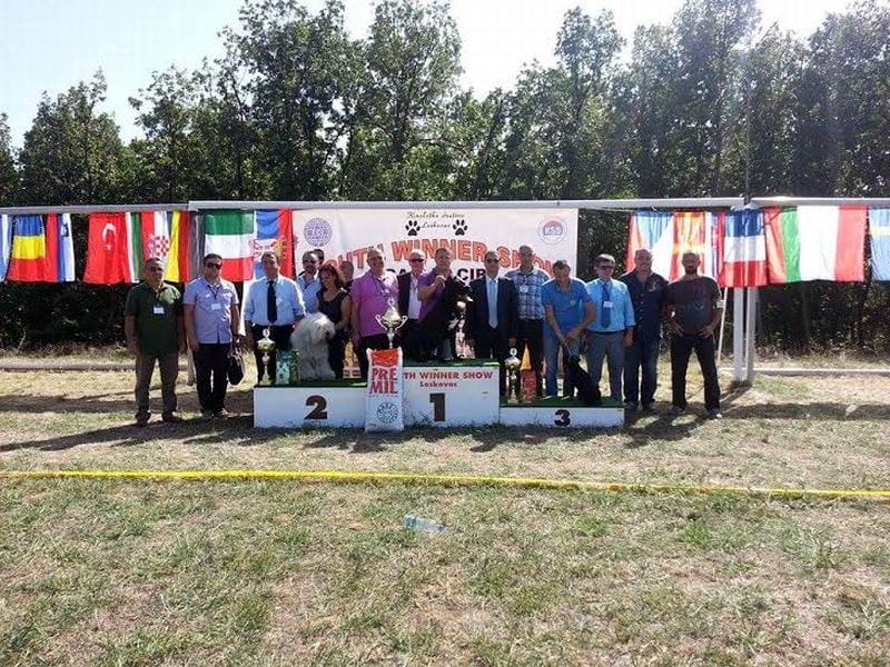 cacib leskovac 2015