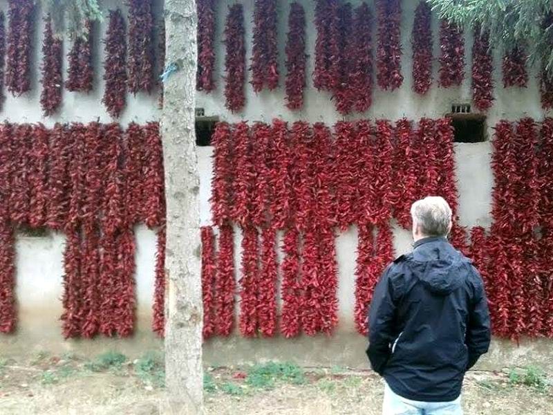 donja lokosnica venci paprike