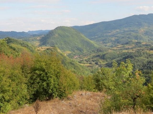 Suva planina