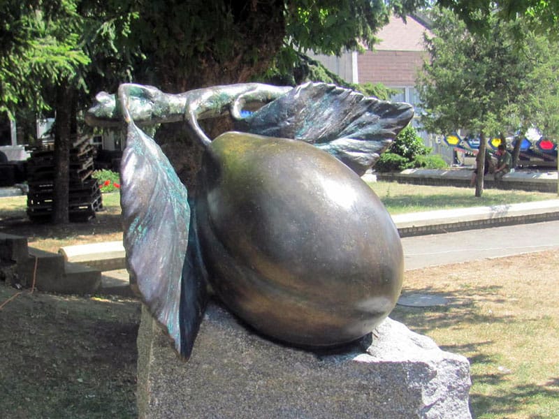 Radomirovići kupili i TV Blace 1 Blace