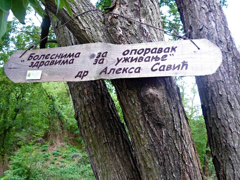 Lekar koji je izmenio Prokuplje 2 foto Juzne vesti Natpis pored groba