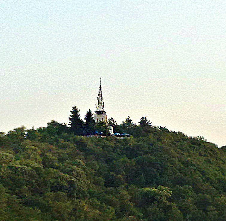 foto Juzne vesti Savicevac