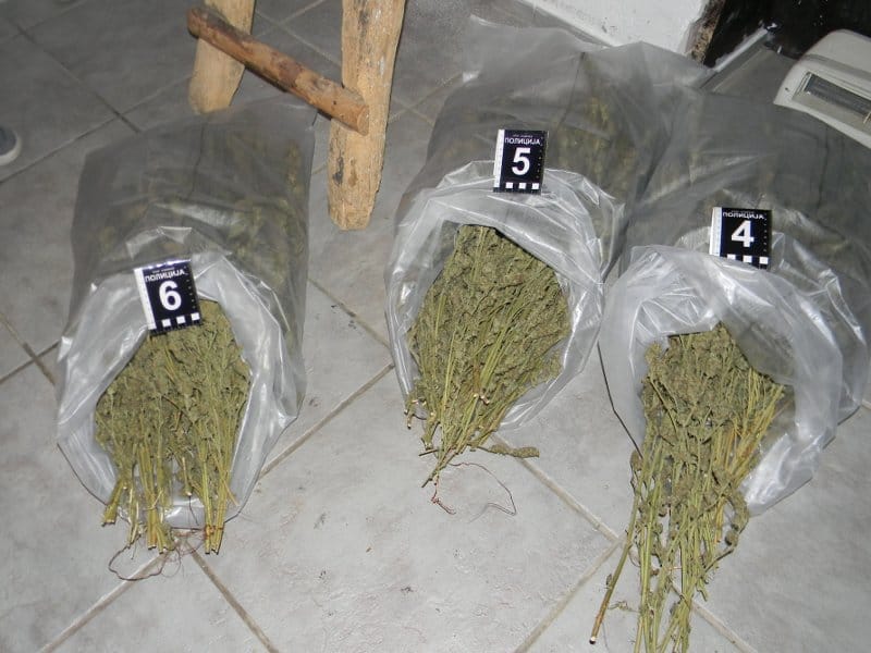 Tri džaka marihuane otkrivena u kući kraj Merošine 8 marihuana dzakovi