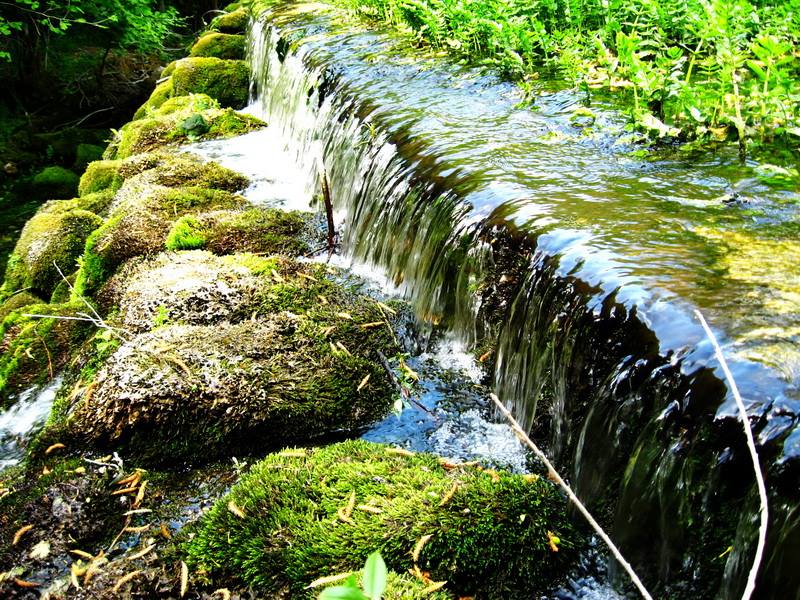 Sokobanjski rakovi stizali do bečkog dvora 19 sokobanja rakovi3