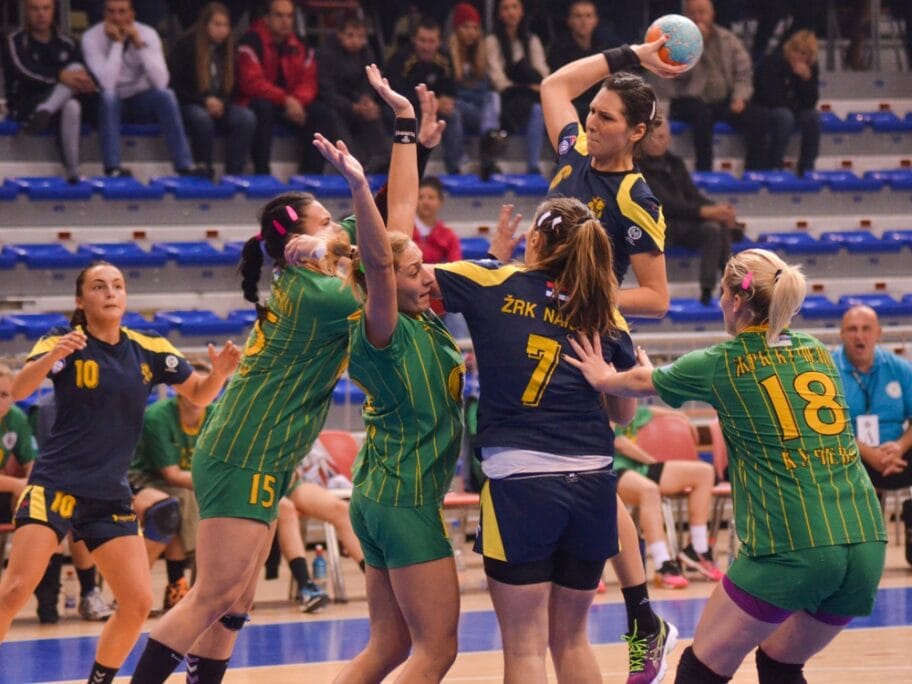 Naisa posle preokreta do pobede 13 naisa aleksandra pesic