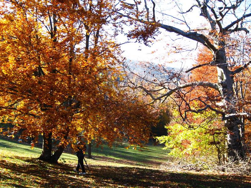 12227560 10153679932609898 5519427599812560722 n