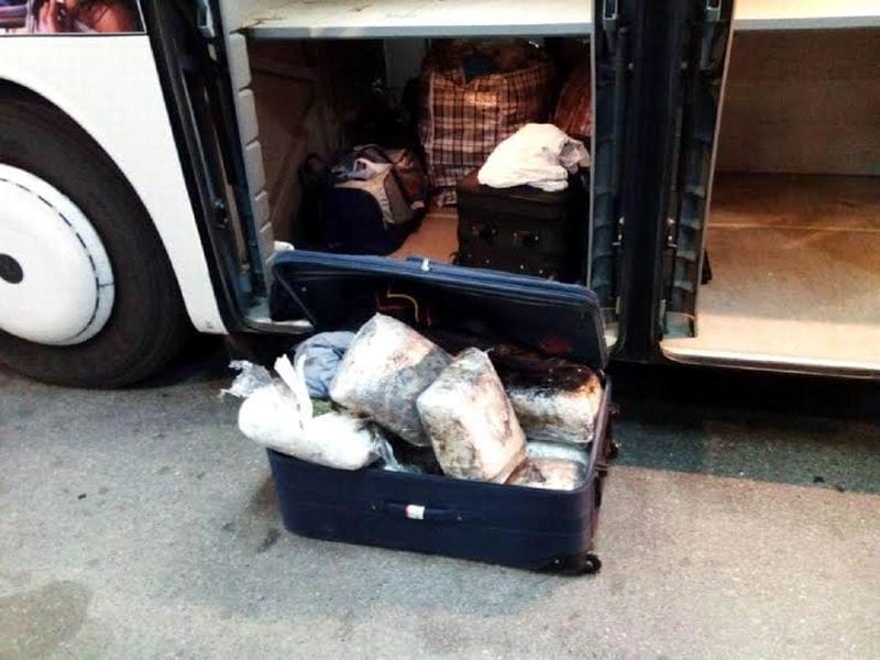 zaplena marihuane merdare 1