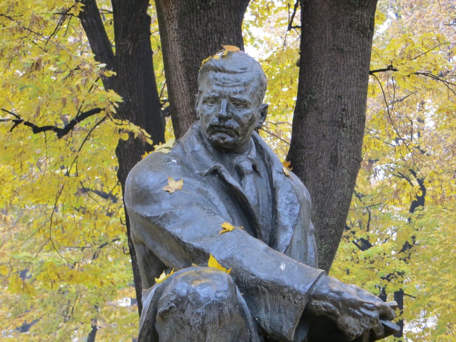 Spomen bista u gradskom parku scaled