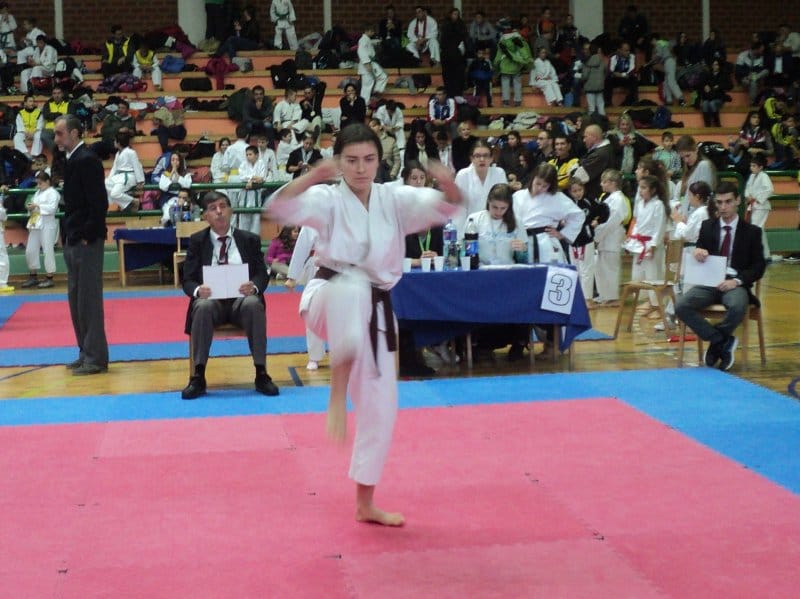 Prokupačkim karatistima 12 medalja u Despotovcu 8 karate klub prokuplje