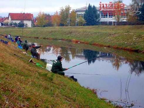 490x370 DISCALIM2194