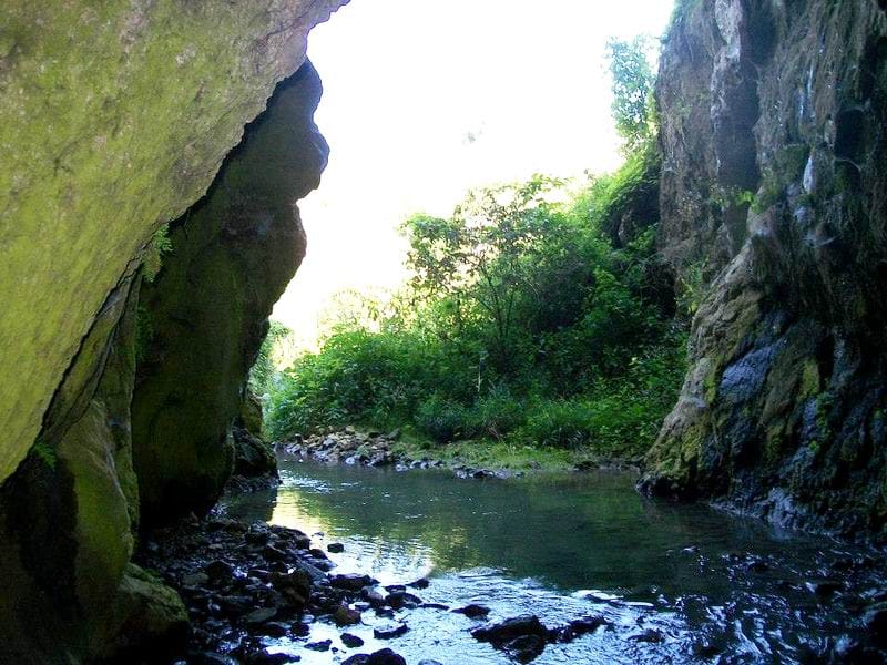 Timok PANDIRALO FOTO M STOJANOVIC