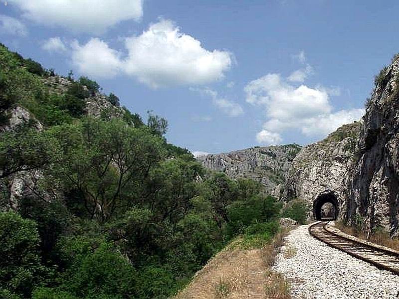 21 foto Aleksandar Kostic JUZNE VESTI Ocistimo Srbiju 2012