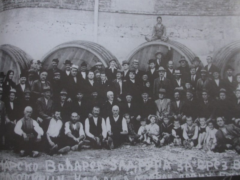 vinogradarska zadrugavl