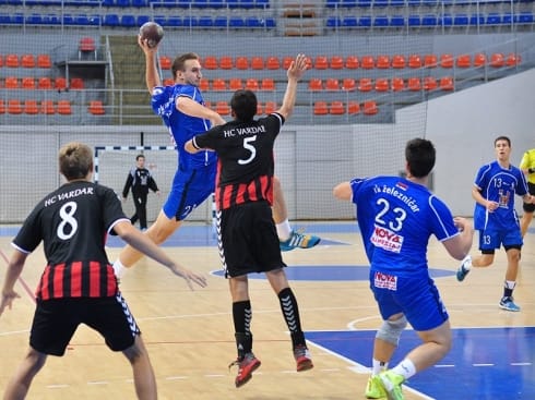 490x370 mihajlo mitic zelja