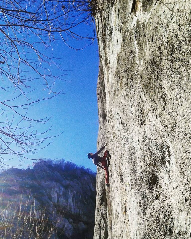 12410564 948711025215055 2862815410148632812 n