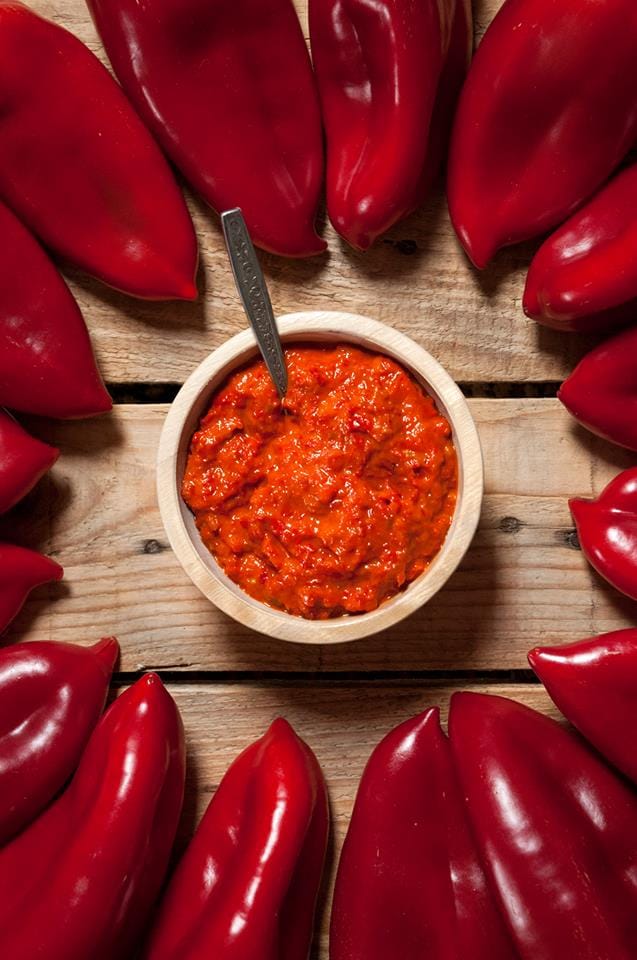 foto Marija Jankovic