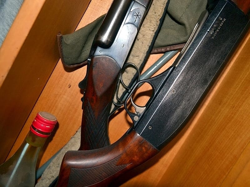 Pretukli čoveka, pucali iz ukradene puške i obijali kuće 16 lovacka puska Ilustracija KOSTA