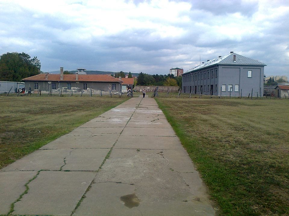 994620 373297292801648 717818086 n