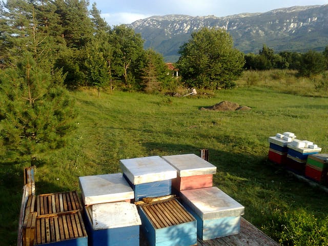 15908491954 1532e61cd7 z