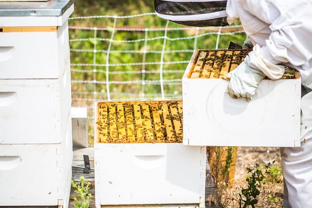 21303854661 60c7de8a07 z