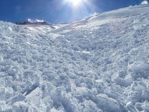 12744518 798874383557447 7287432150044731385 n