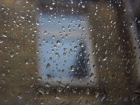 kisa Pavlina Jane Flickr