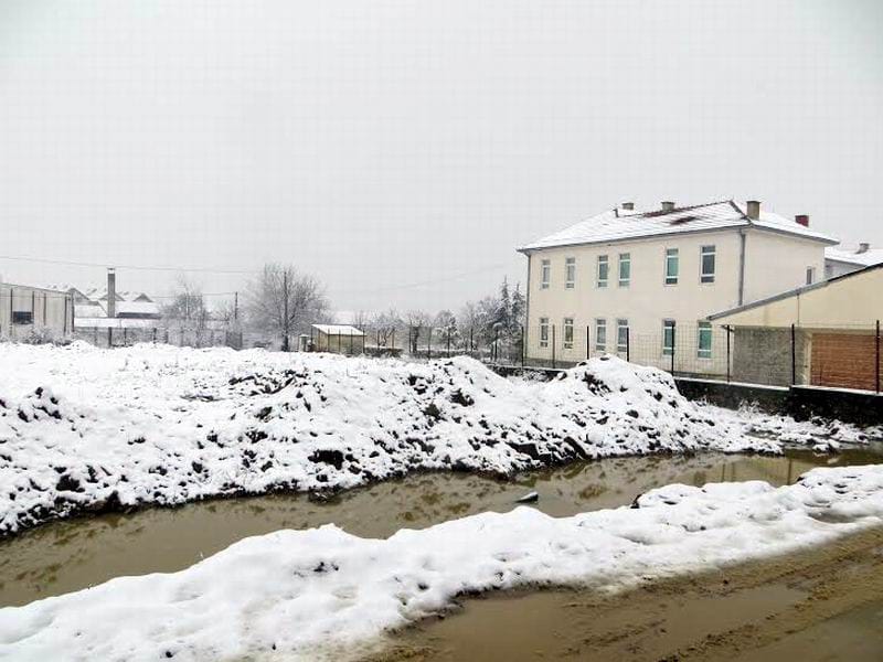 skola gde je les pronadjen