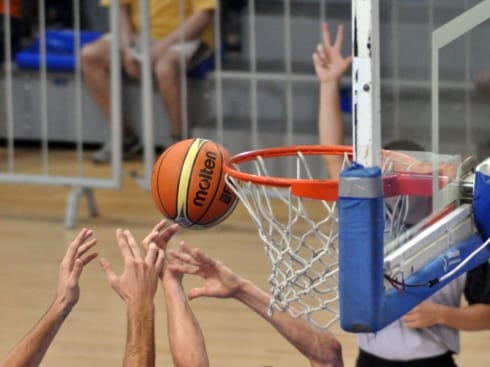 490x370 kosarka lopta