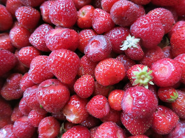 7584229524 e2f8772996 z