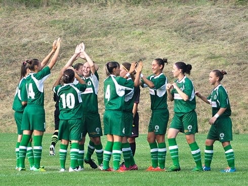 490x370 zfk masinac nis