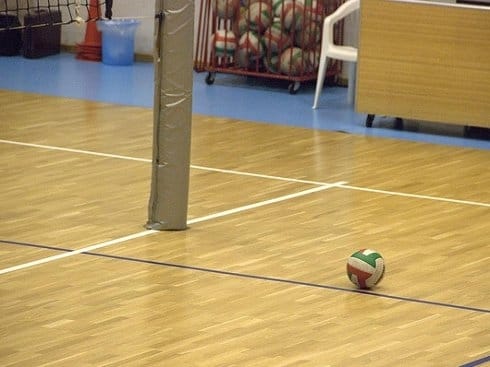 Završni turnir Univerzitetske lige Srbije u Nišu 7 490x370 490x370 odbojkaska lopta ilustracija flickr