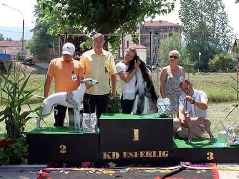 Specijalizovana izložba pasa u subotu u Svrljigu 3 13059439 10207196047912901 1117450815 n