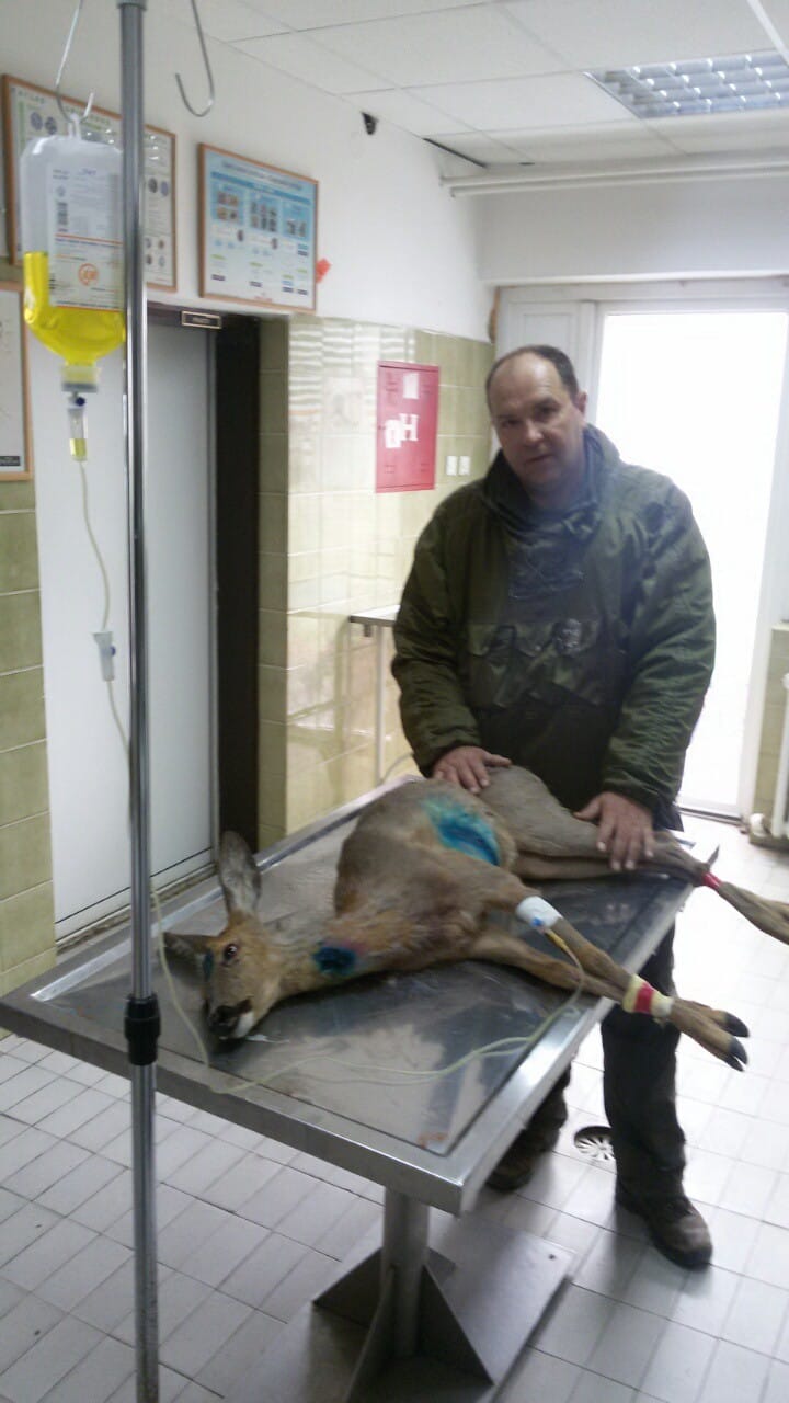 Share2016 04 30 f6b27f5f4044ec37b942d9c57a8b78dc5d5e44e86313a707d61398ae8826a7fe Picture