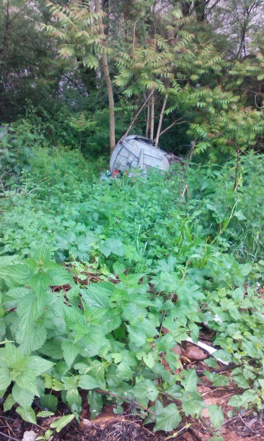 konterjneri prosek foto jkpmediana scaled