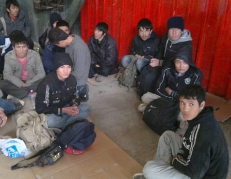 490x370 800x600 slika3