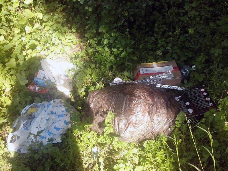 Djubre Marija Filipovic