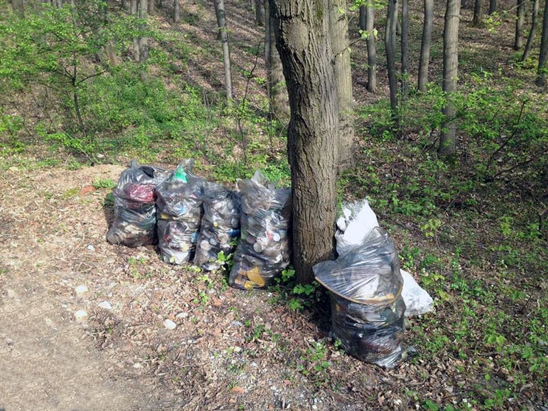 Djubre 2 Marija Filipovic